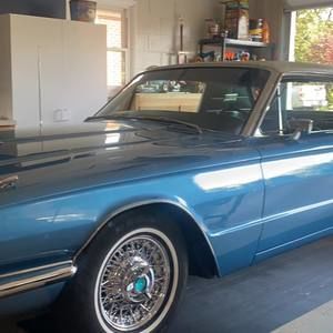 Meet your Posher, Donna